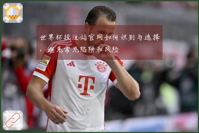世界杯投注站官网如何识别与选择,避免常见陷阱和风险