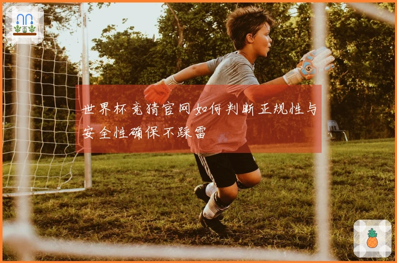 世界杯竞猜官网如何判断正规性与安全性确保不踩雷