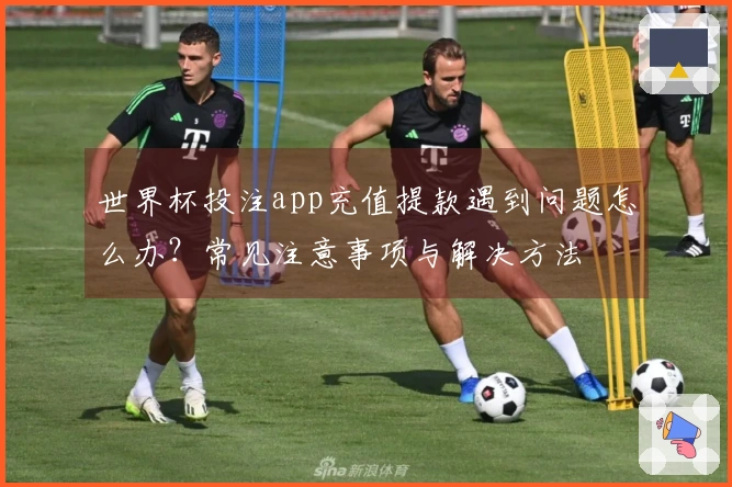 世界杯投注app充值提款遇到问题怎么办？常见注意事项与解决方法
